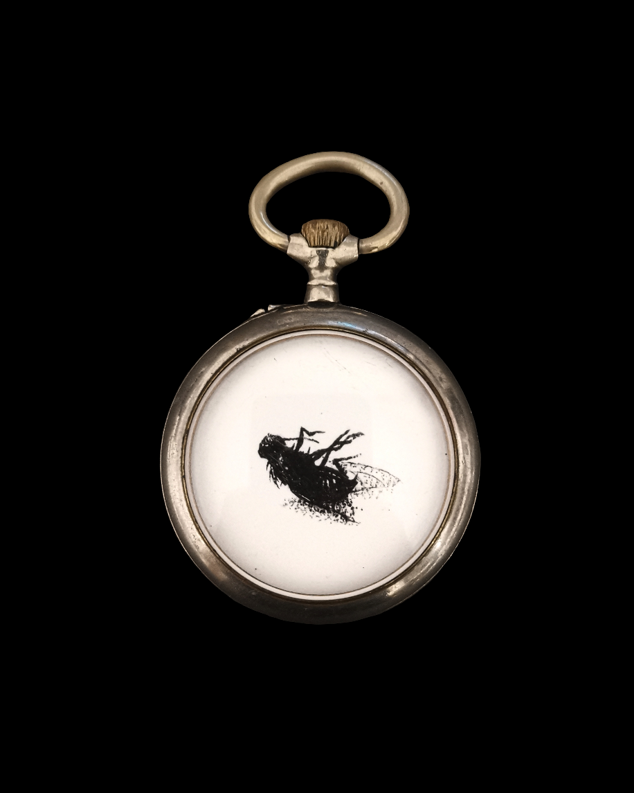 I heard a Fly buzz when I died