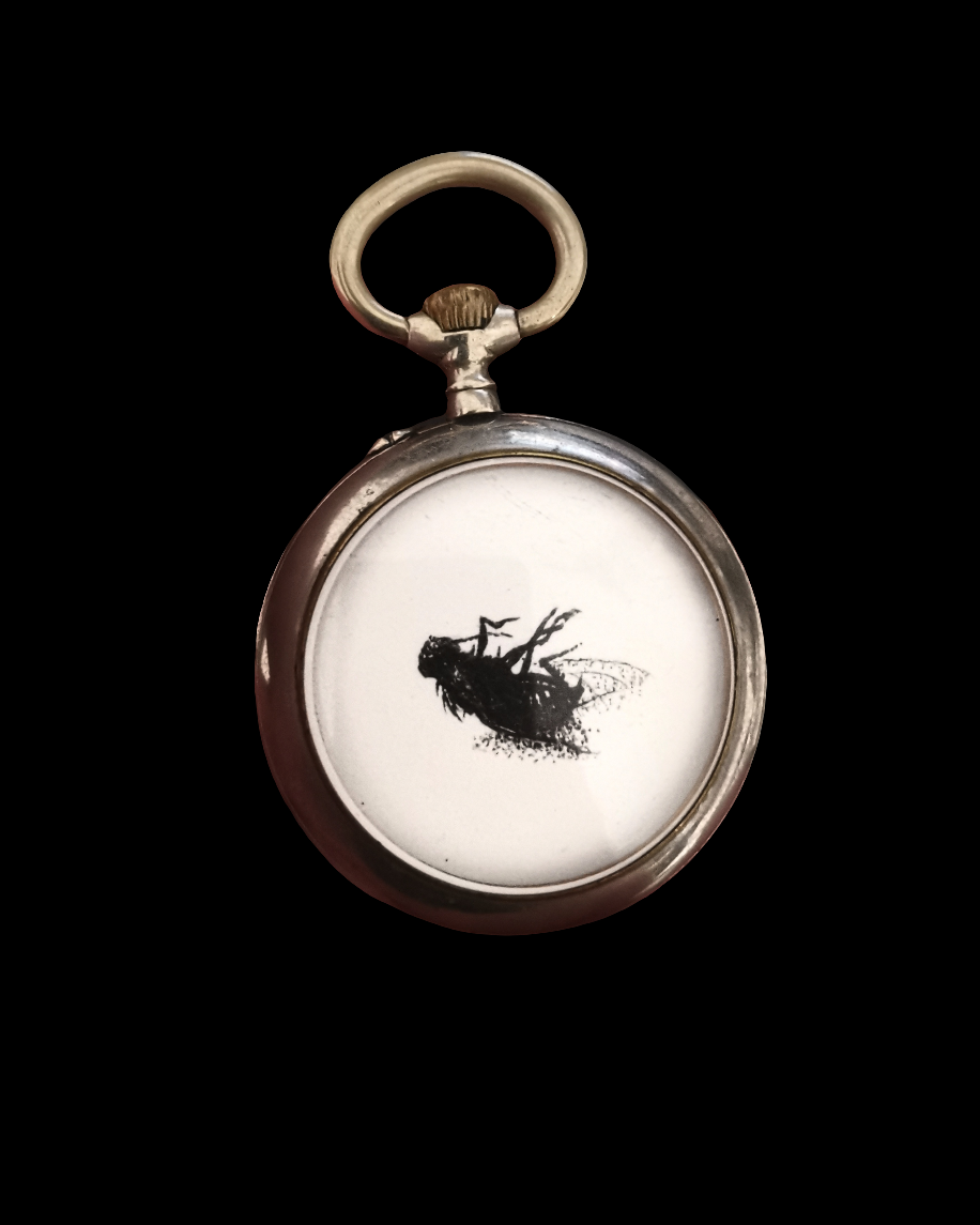 I heard a Fly buzz when I died