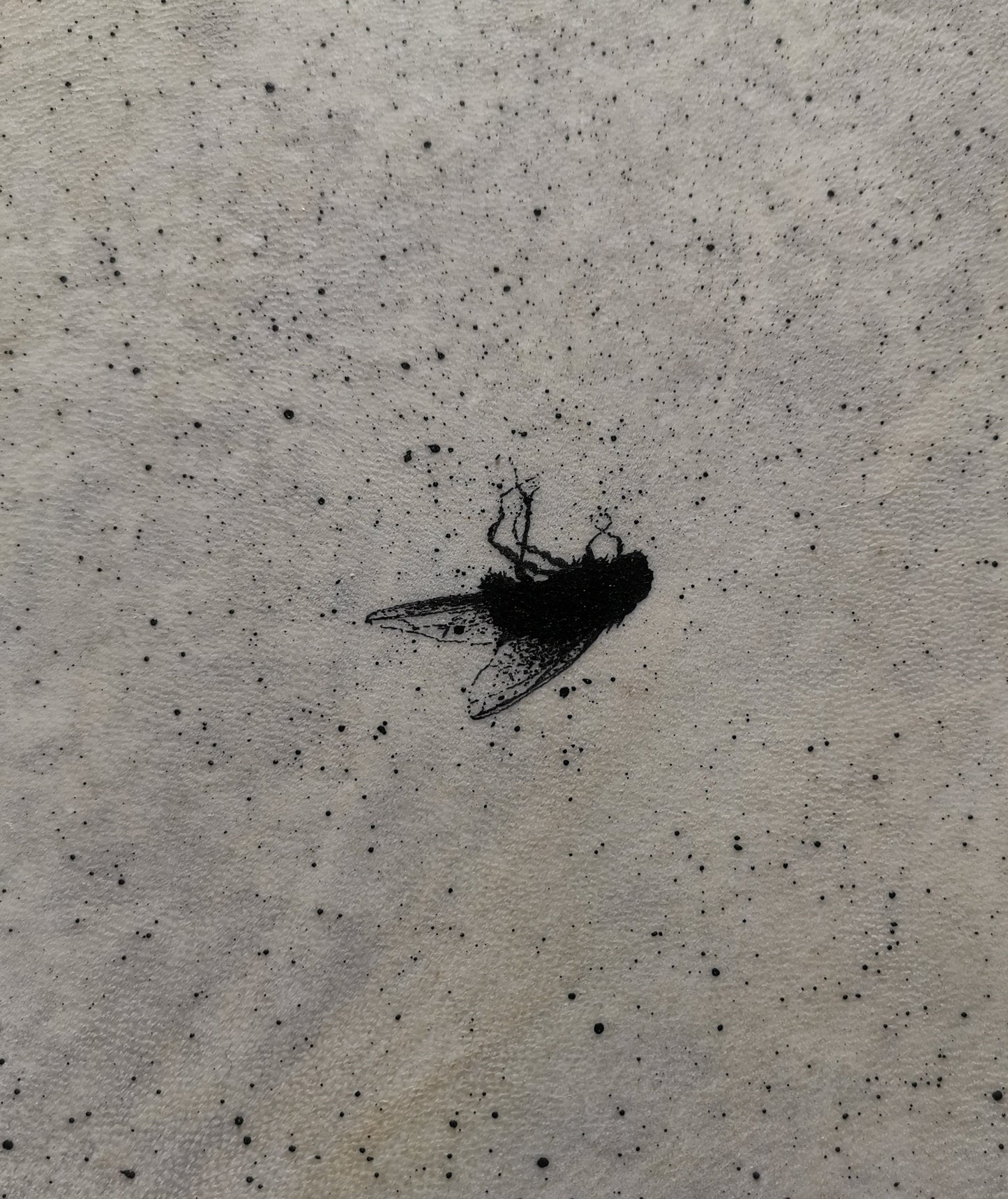 I heard a Fly buzz when I died