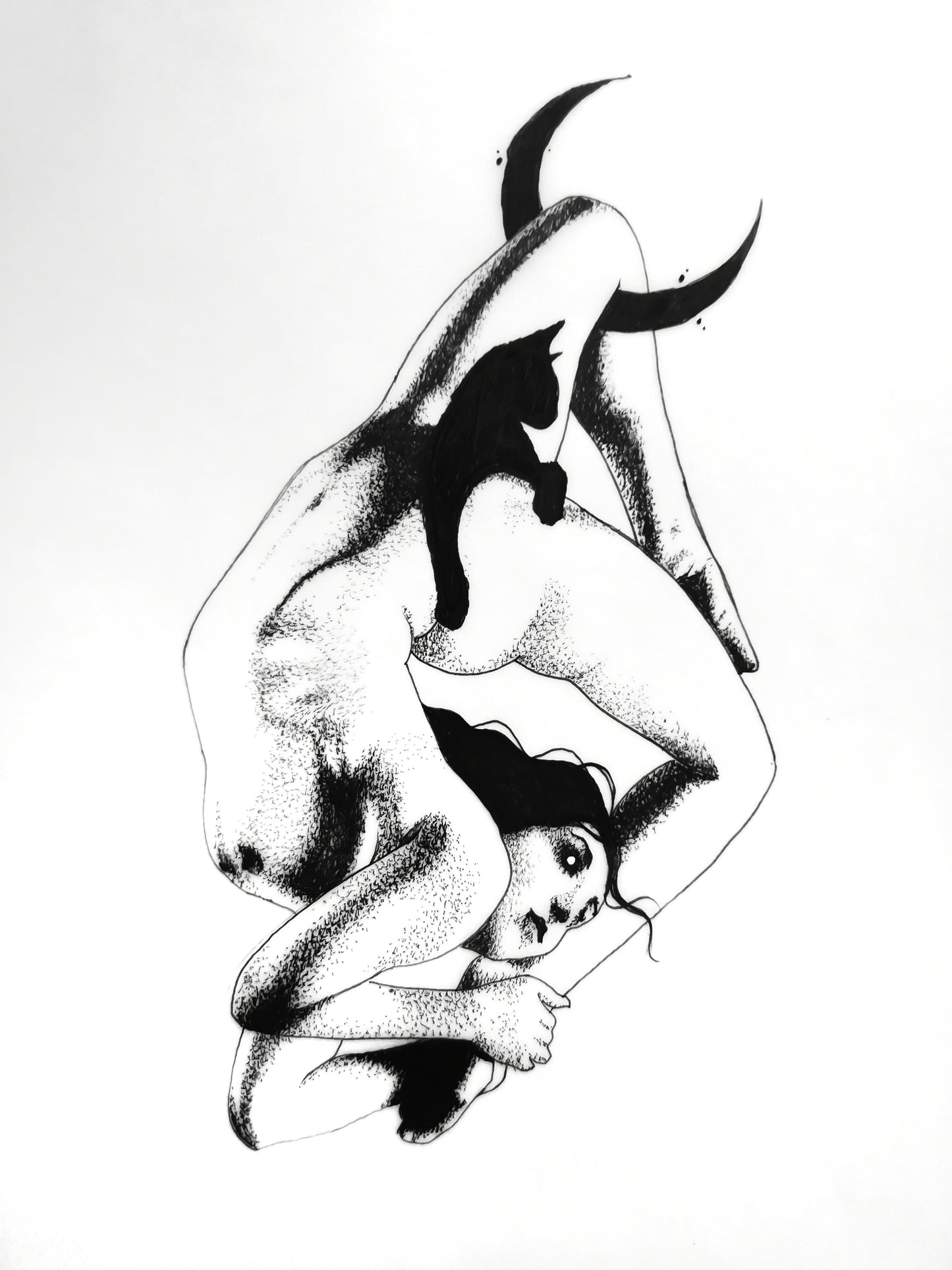 Superstitious Dance with moon and cat