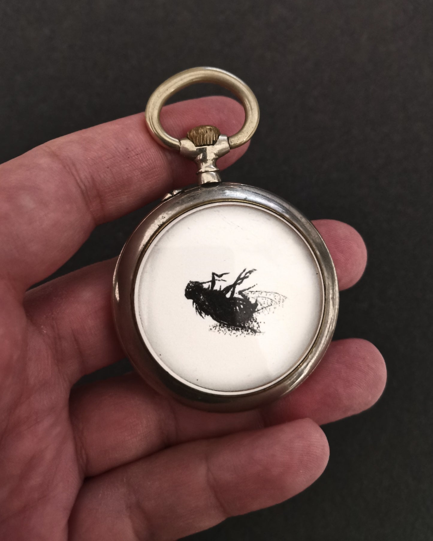 I heard a Fly buzz when I died