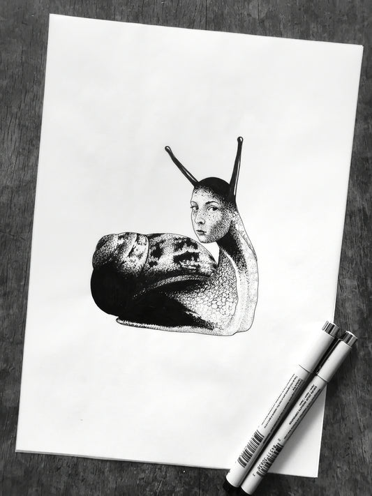 Lady Snail had a secret