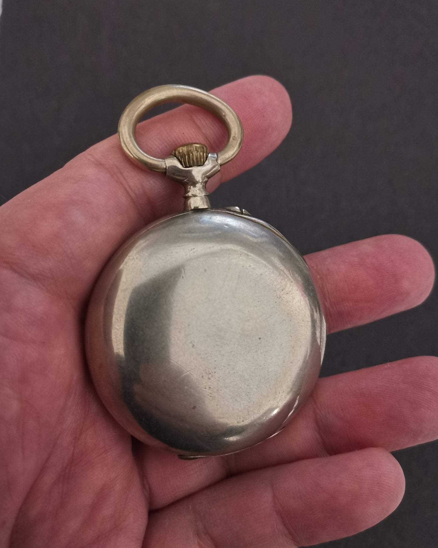 I heard a Fly buzz when I died