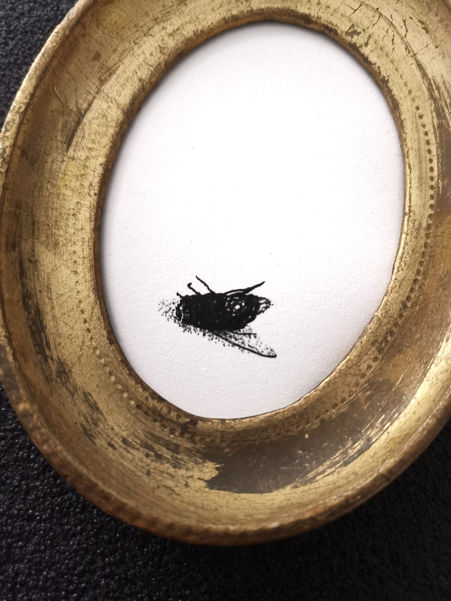 I heard a Fly buzz when I died