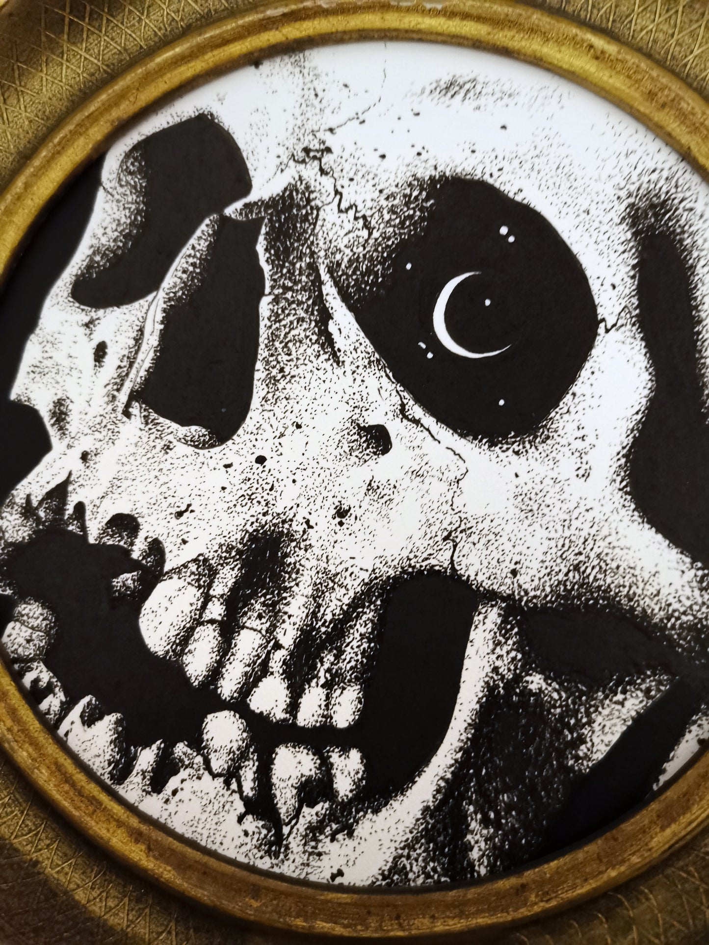 The Skull of Agnes Bernauer