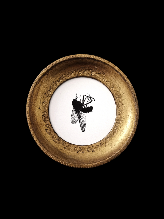 I heard a Fly buzz when I died