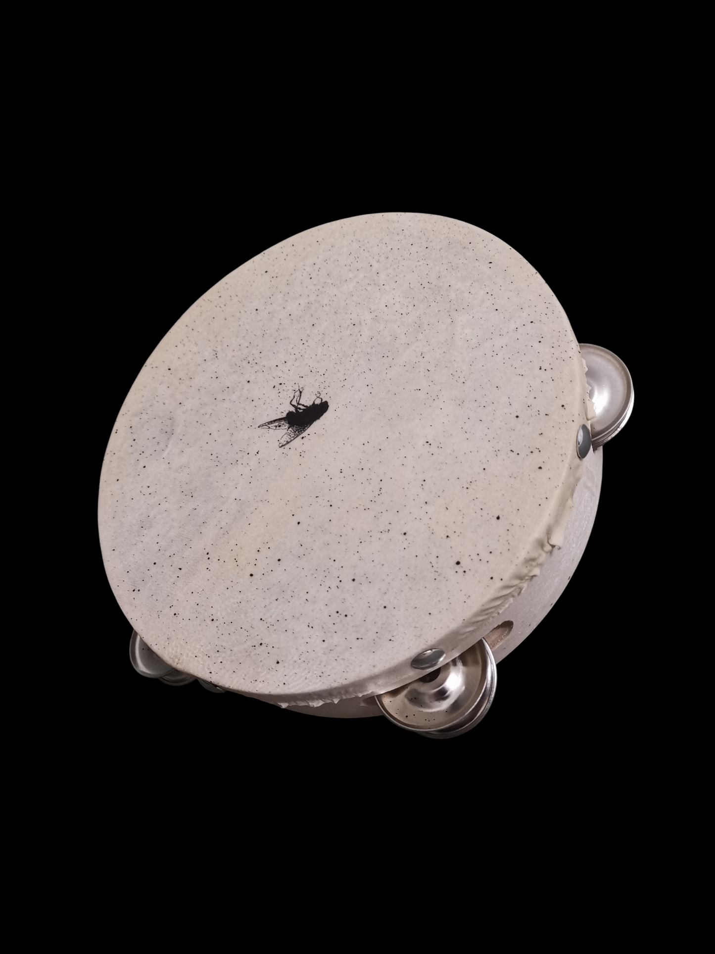 I heard a Fly buzz when I died