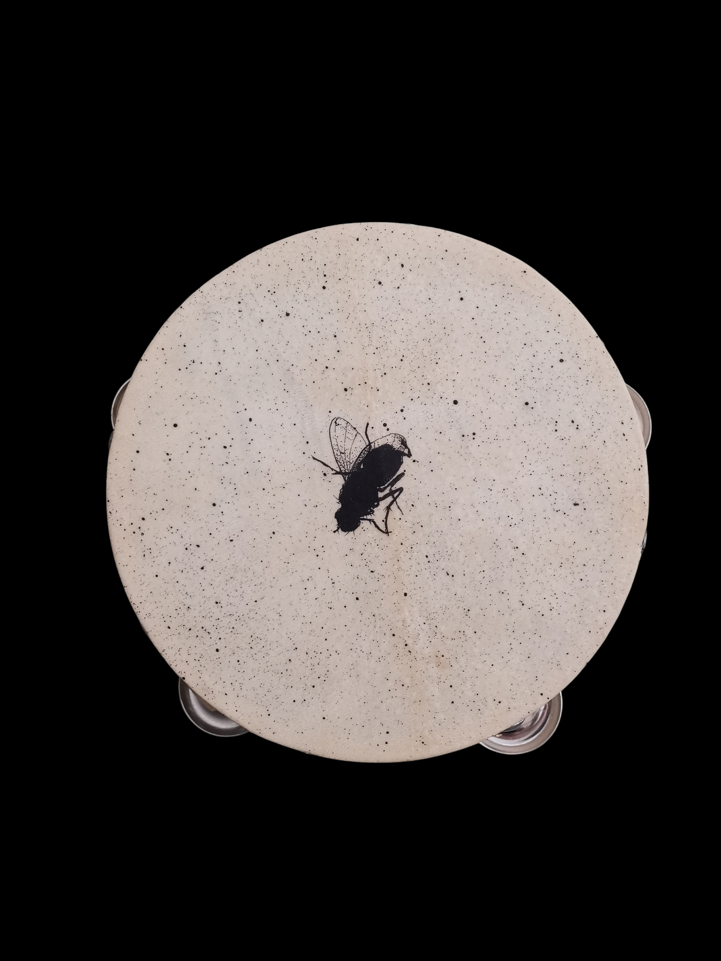 I heard a Fly buzz when I died