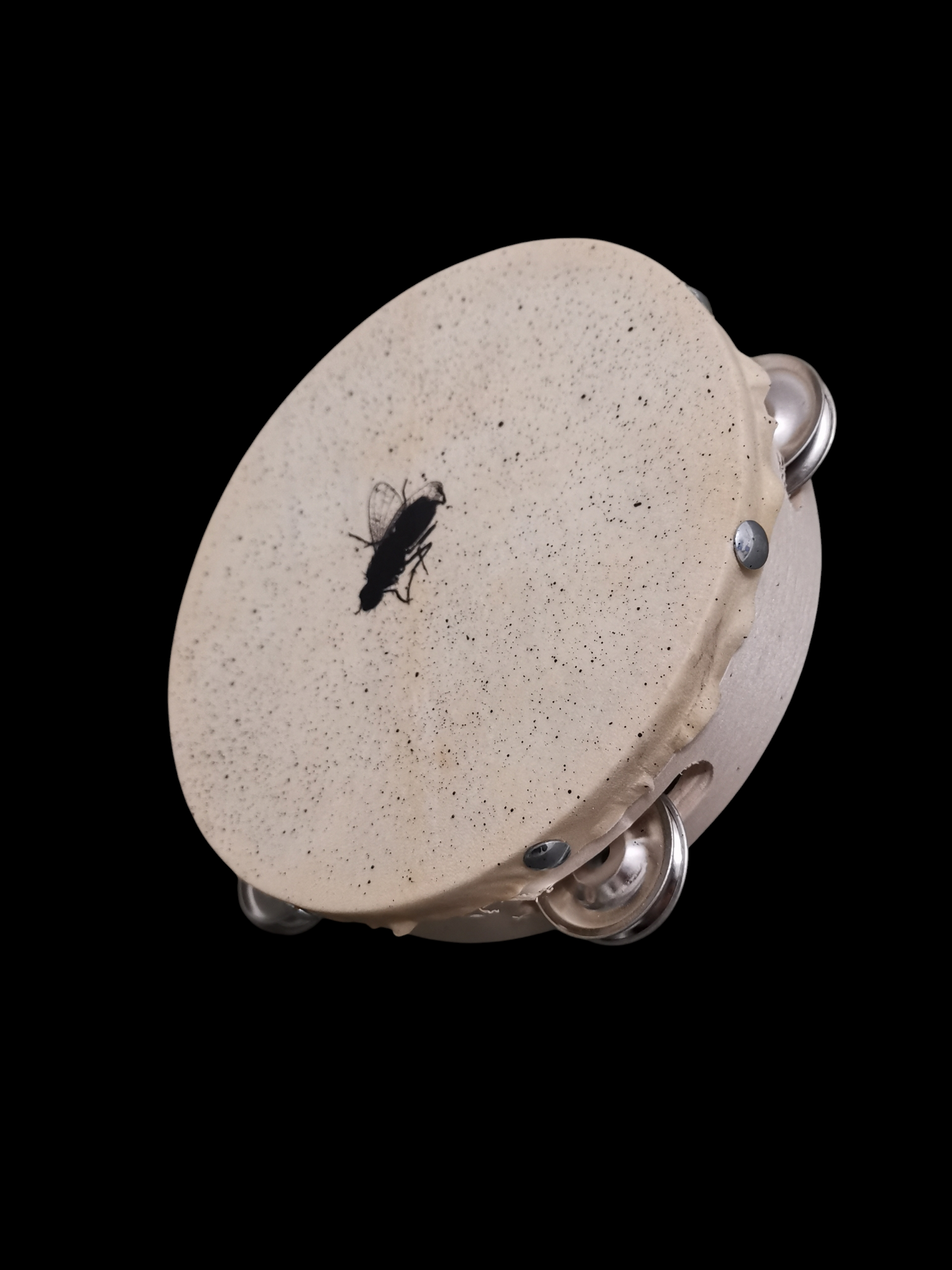 I heard a Fly buzz when I died