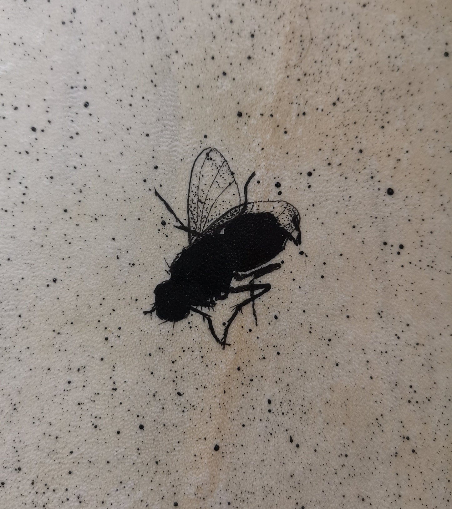 I heard a Fly buzz when I died