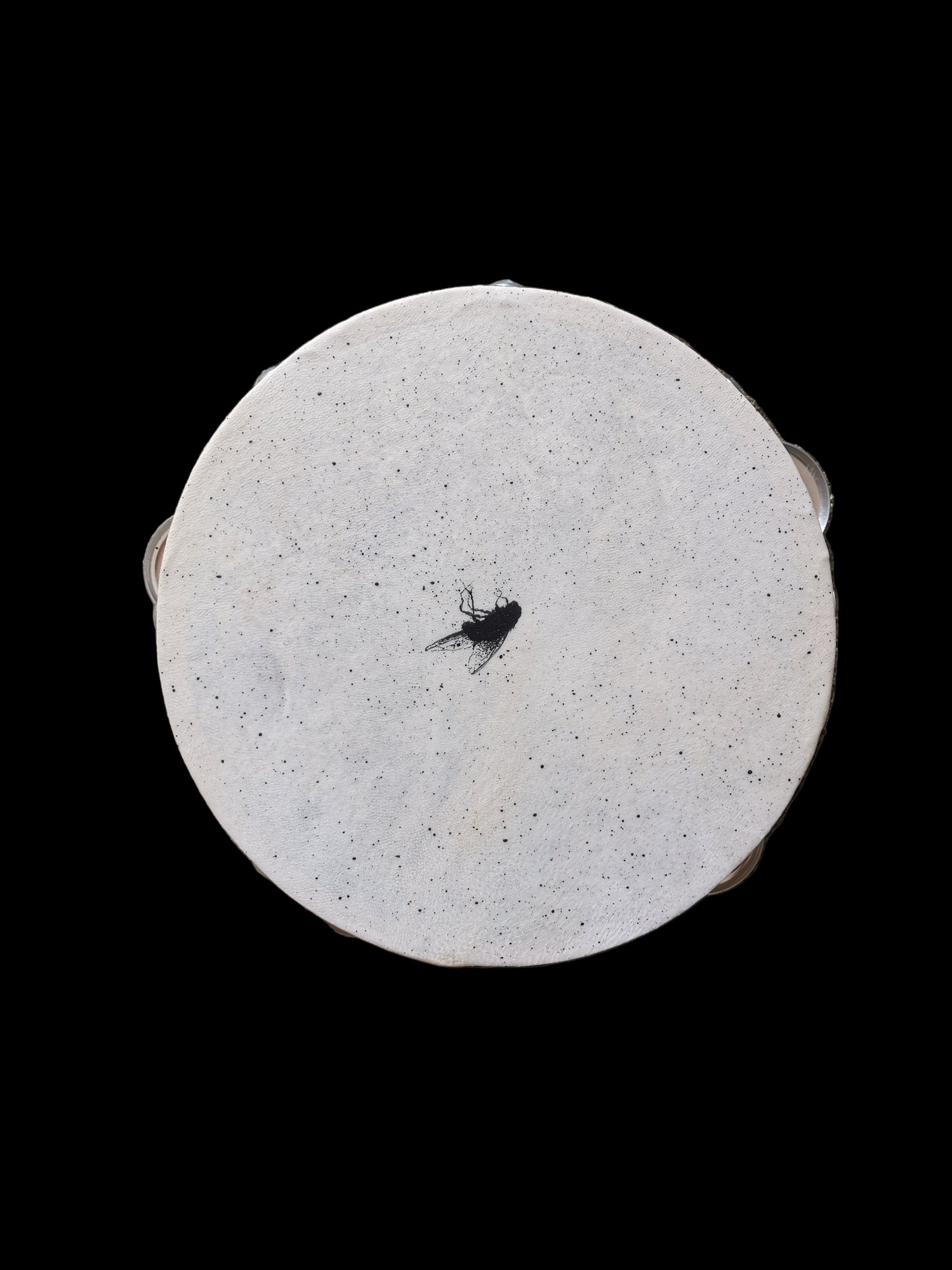 I heard a Fly buzz when I died