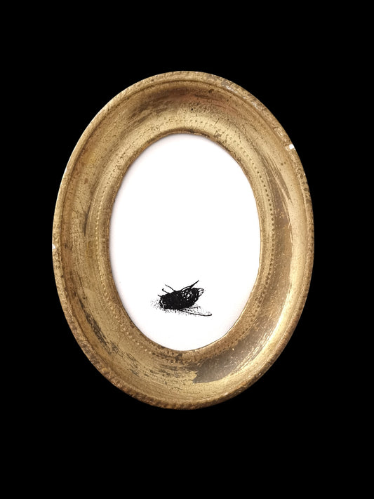 I heard a Fly buzz when I died