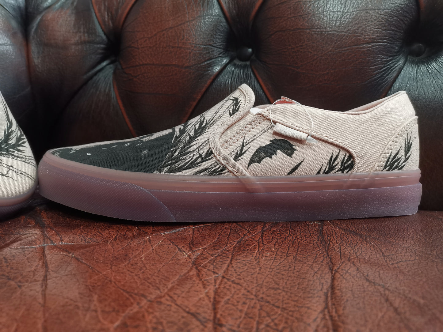 VANS Illustrated Shoes