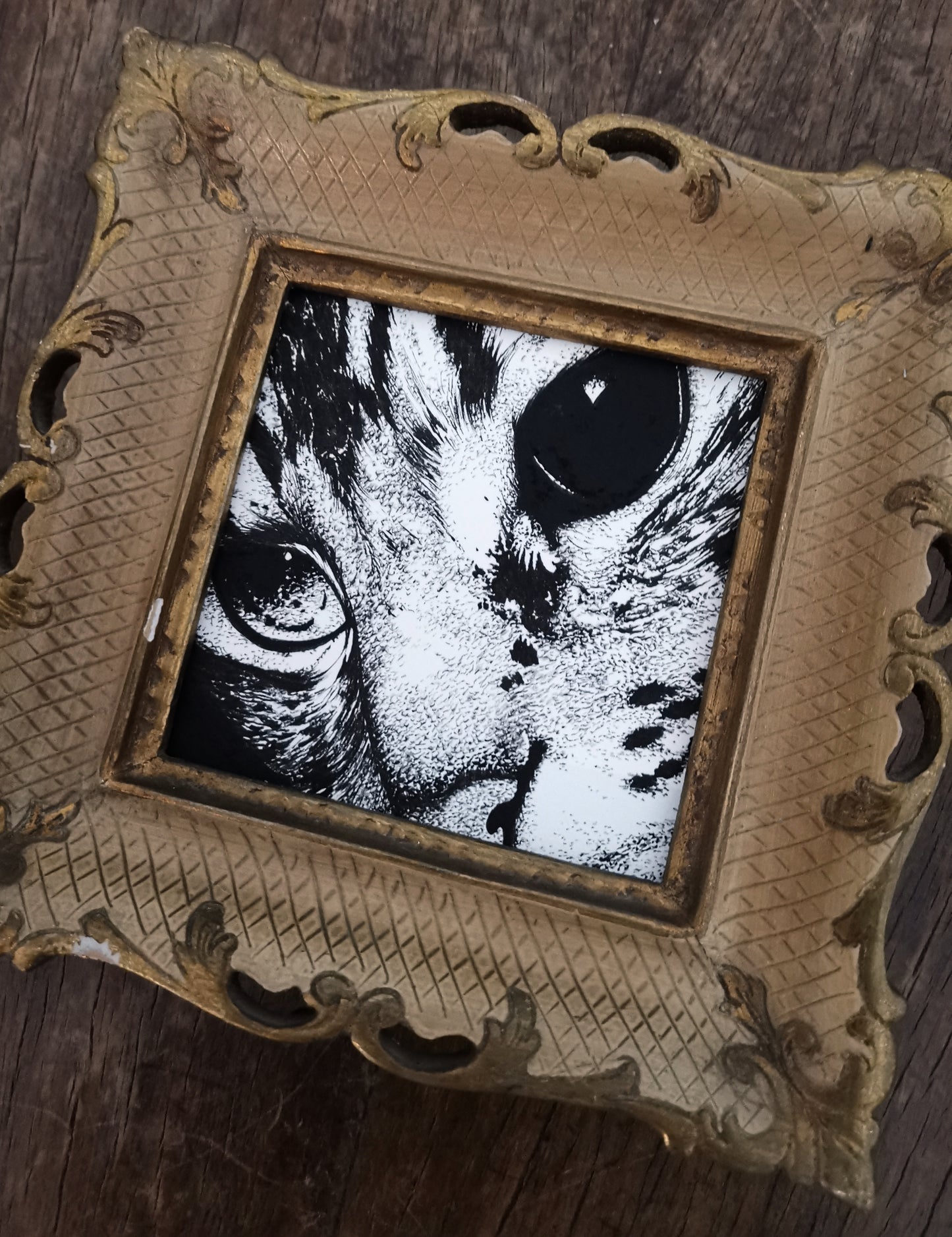 Melancholicat V
