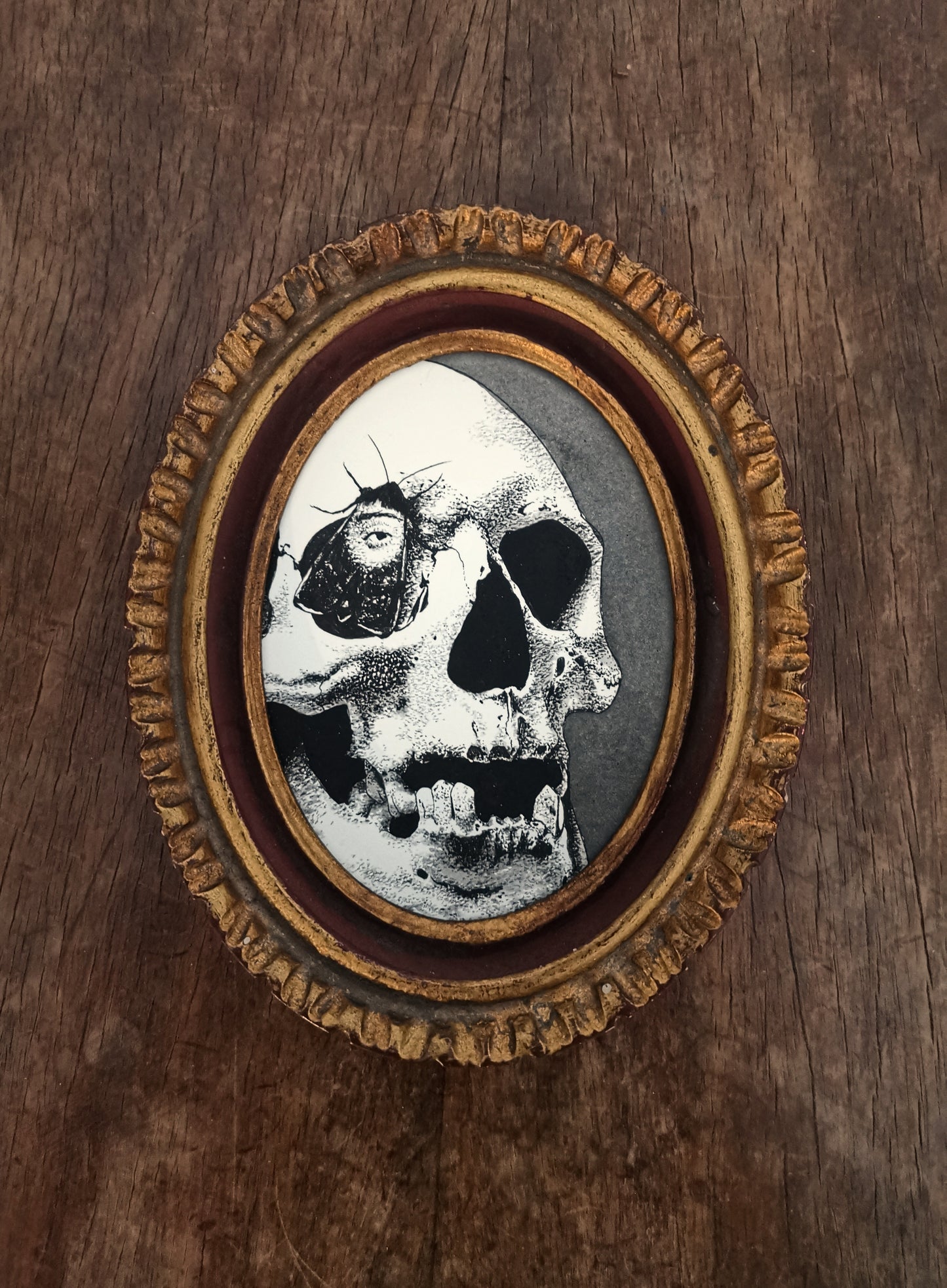 The skull of Janet Boyman