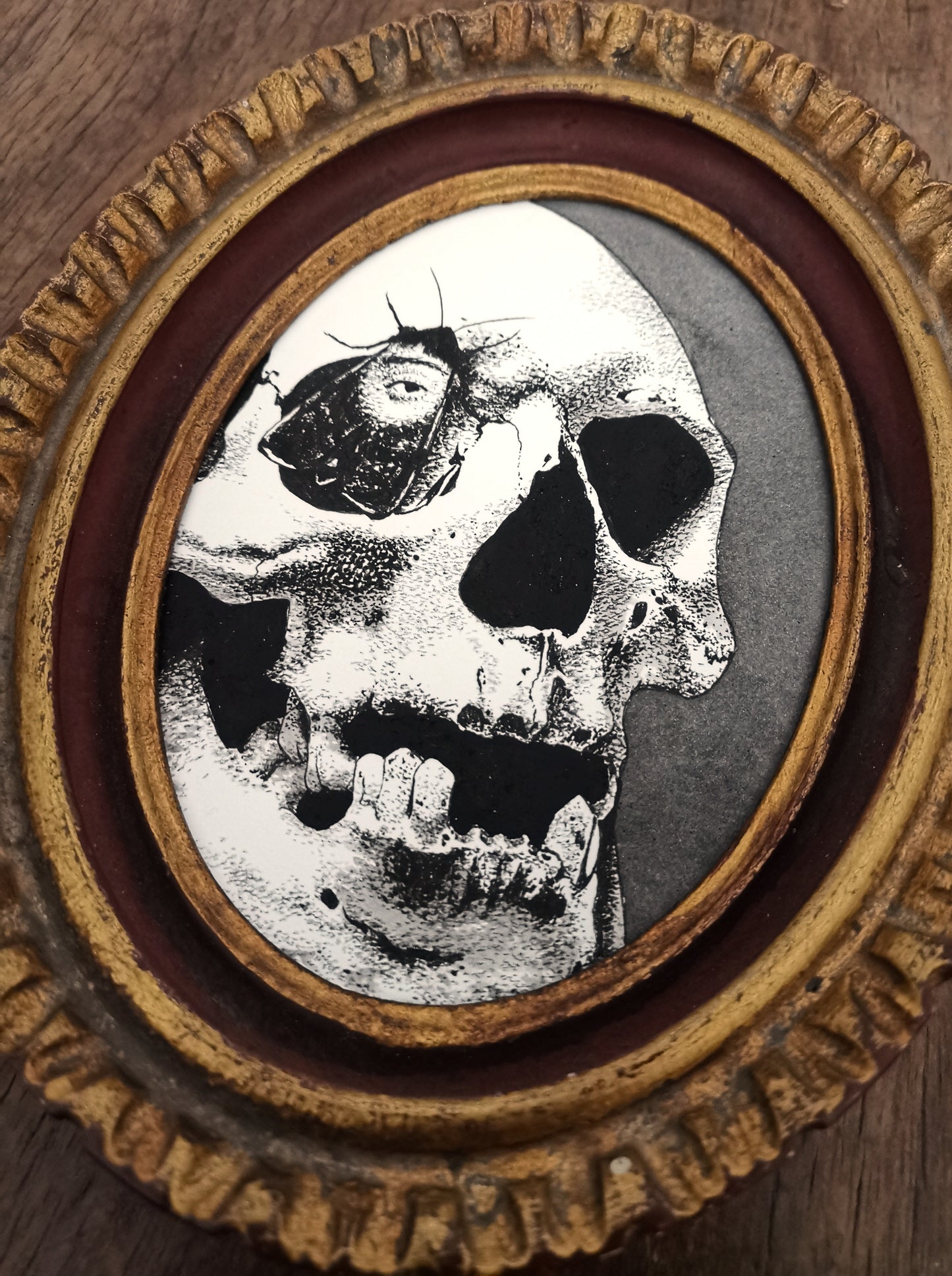 The skull of Janet Boyman