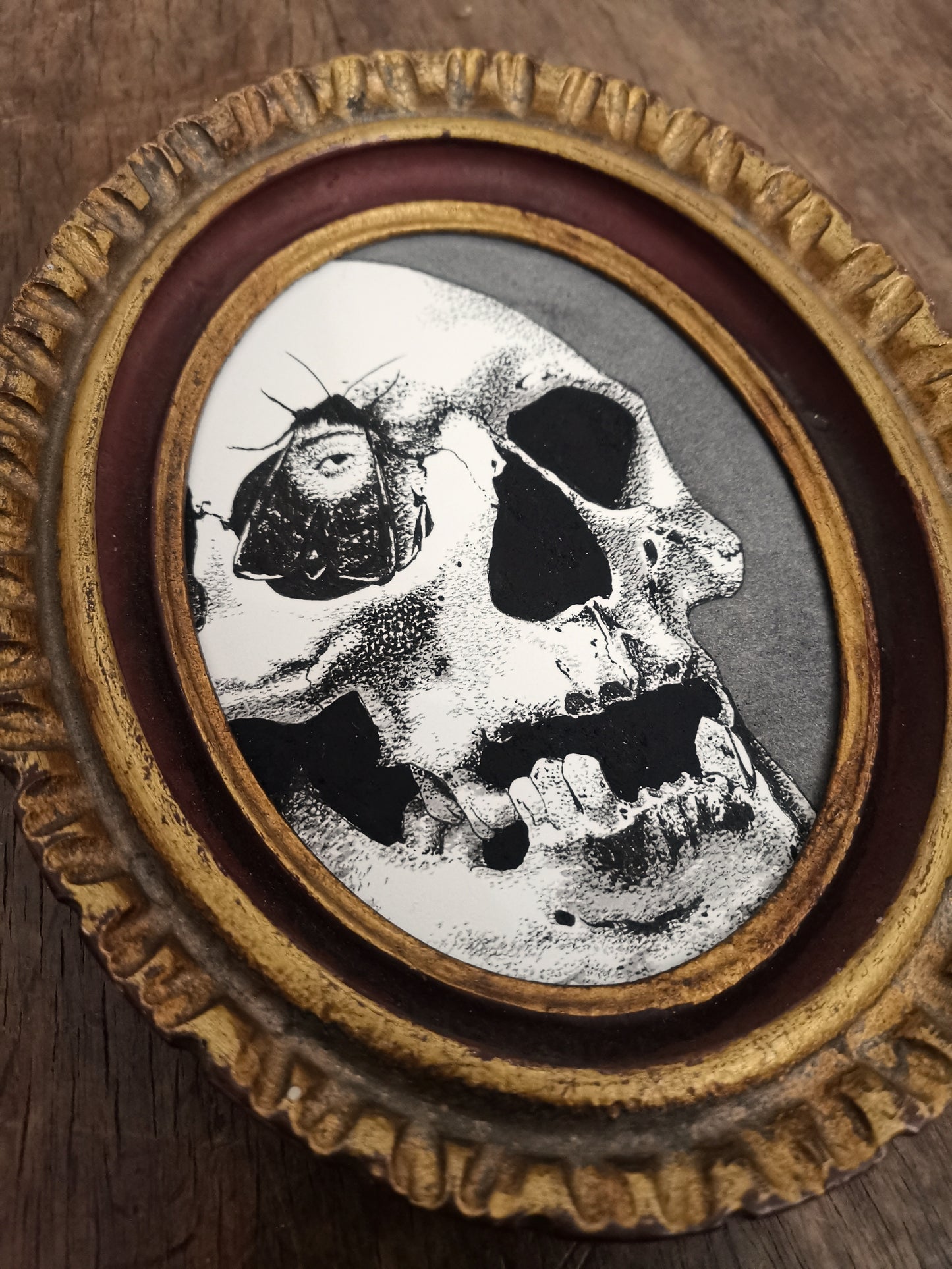 The skull of Janet Boyman