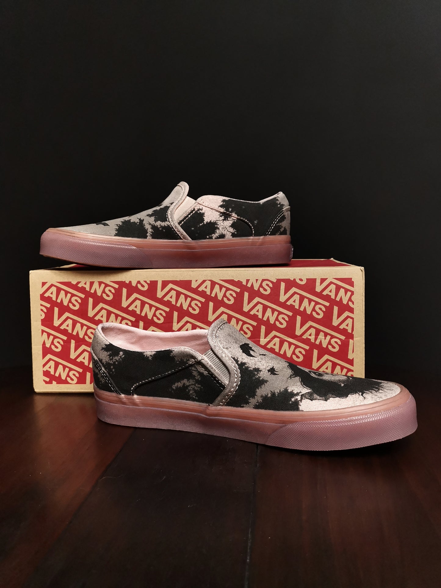 VANS Illustrated Shoes