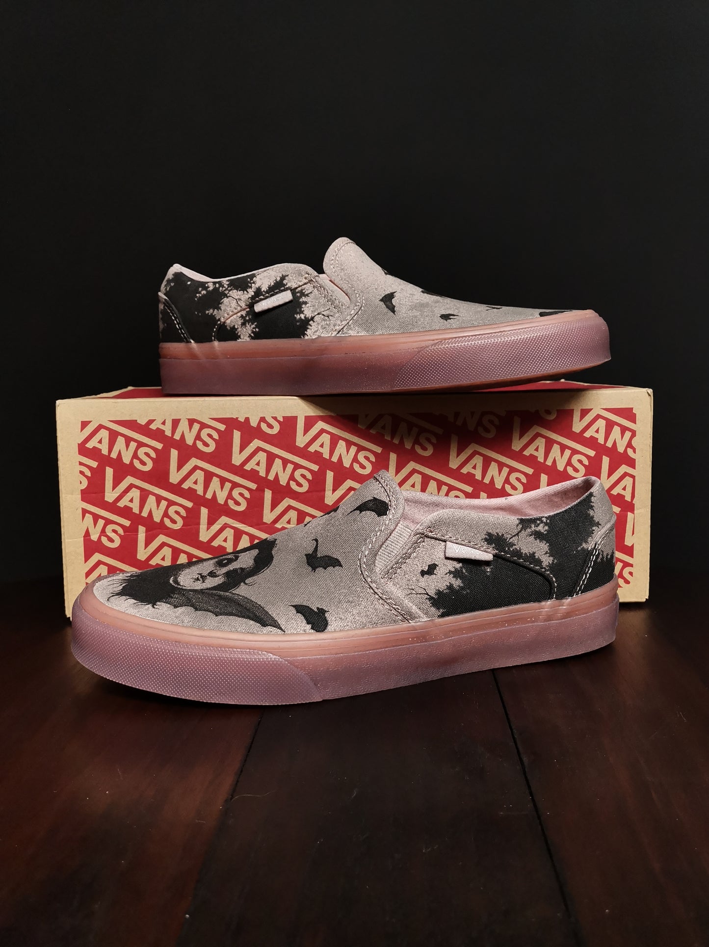 VANS Illustrated Shoes