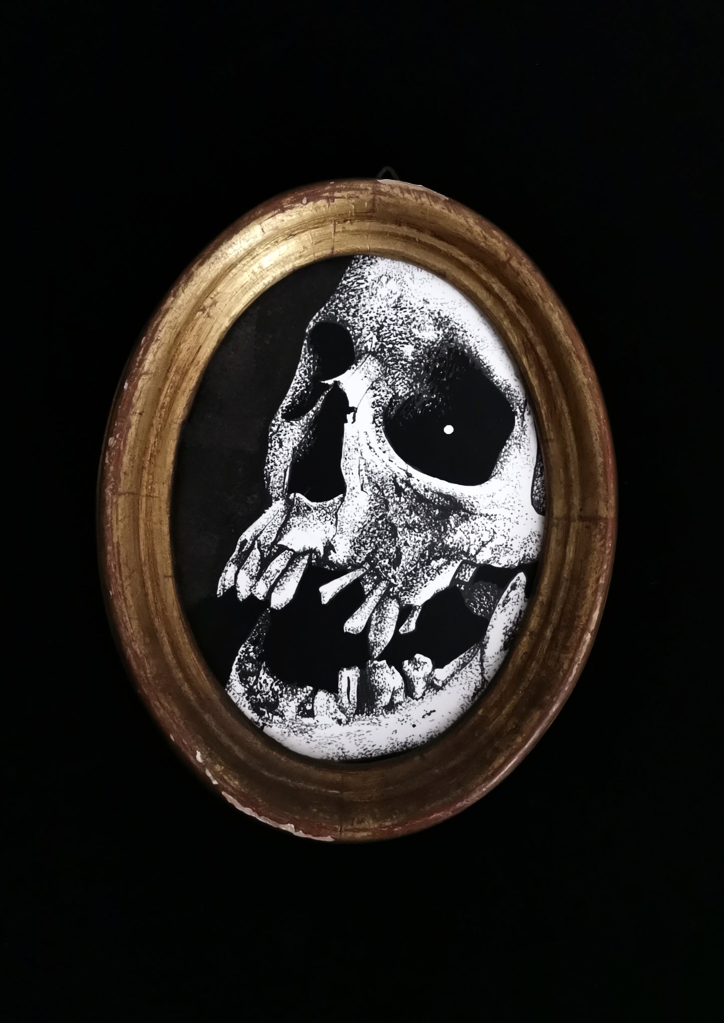 The Skull of Mary Pannal